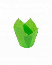 Капсулы бумажные ТЮЛЬПАН, зеленые, 100 шт