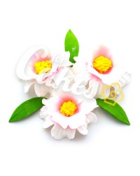 Сахарные цветы из мастики «Магнолии», Казахстан