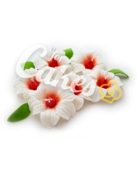 Сахарные цветы из мастики «Лилии средние», Казахстан