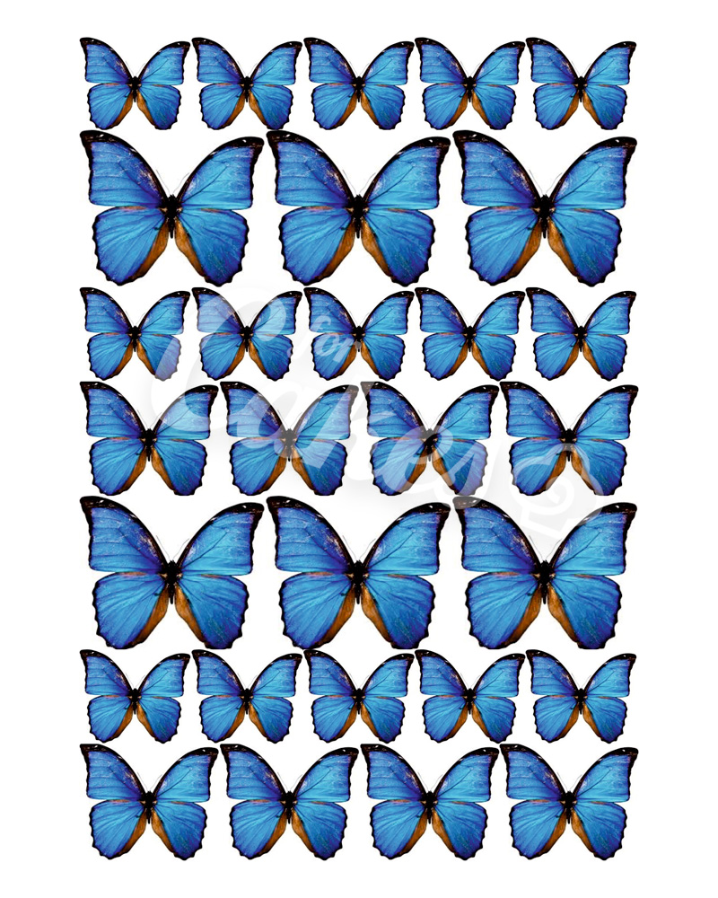 Трафарет для выпечки «Бабочки», 30 × 35 см
