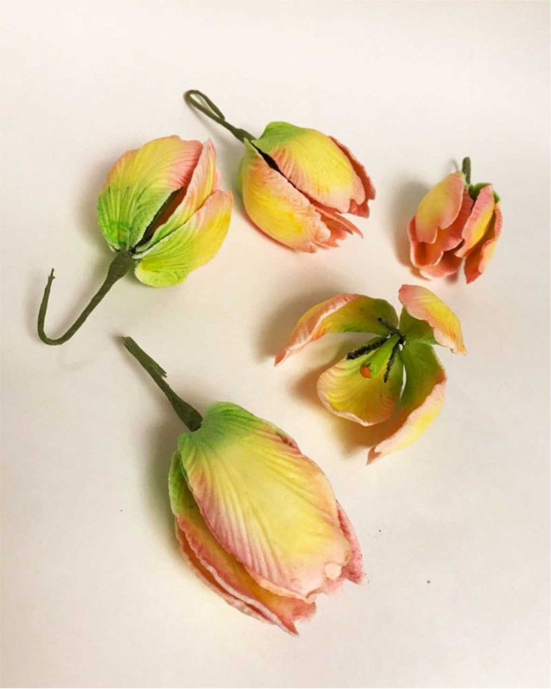 Сахарные Цветы из мастики «Тюльпаны», Казахстан