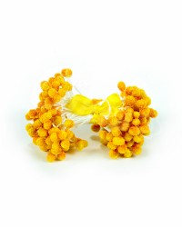 Хрустальные тычинки для цветов из мастики «Оранжевые», Китай