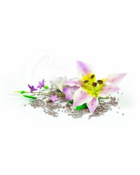 Сахарные цветы из мастики «Букет на проволоке - Лилии с Сиреневым напылением», Казахстан