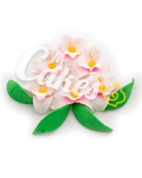 Сахарные цветы из мастики «Ирисы», Казахстан