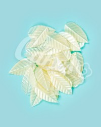 Вафельные листики «Лист Ясеня», мелкий, цвет белый