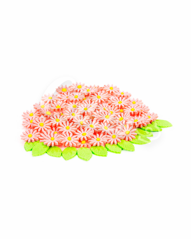 Сахарные цветы из мастики «Маргаритки персикового цвета»